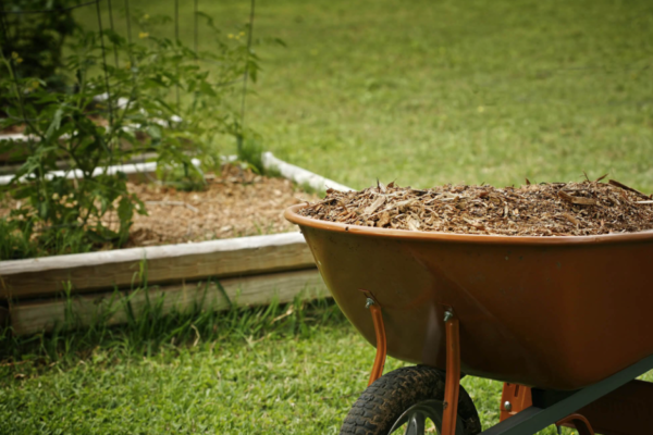 Why Mulch in Gold Coast is Essential for Your Garden